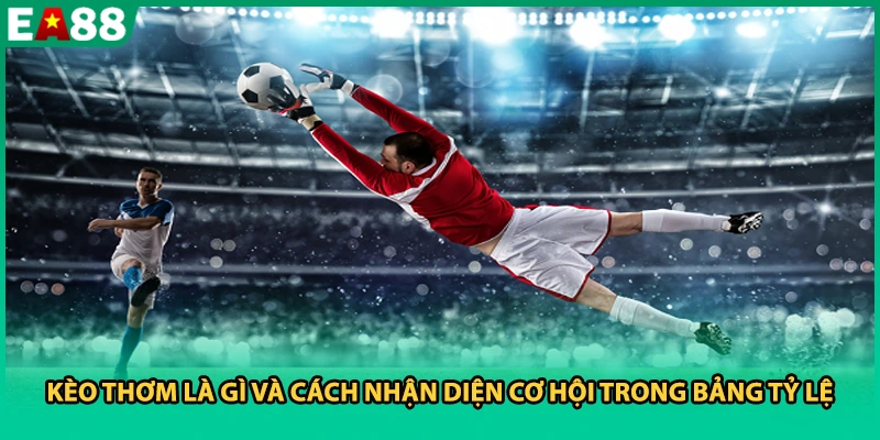 Kèo thơm là gì và cách nhận diện cơ hội trong bảng tỷ lệ
