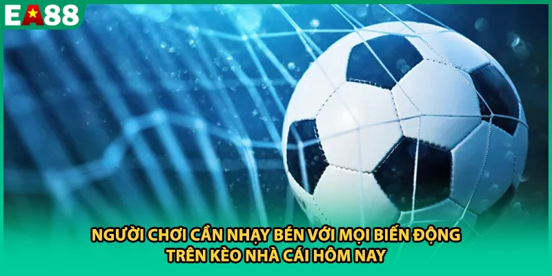 Người chơi cần nhạy bén với mọi biến động trên kèo nhà cái hôm nay
