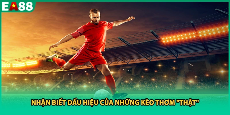 Nhận biết dấu hiệu của những kèo thơm "thật"