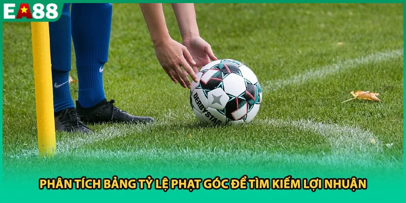 Phân tích bảng tỷ lệ phạt góc để tìm kiếm lợi nhuận