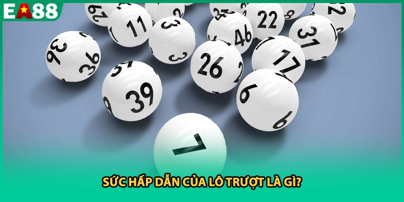 Sức hấp dẫn của lô trượt là gì?